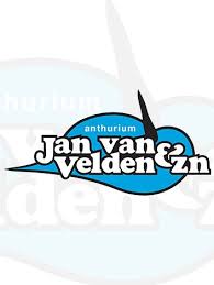 download Week boeket
