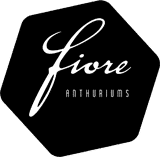 fiore-logo Week boeket