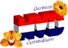 logo-hvd Week boeket