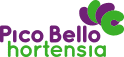 picobelle Week boeket