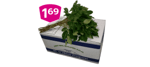 Salal