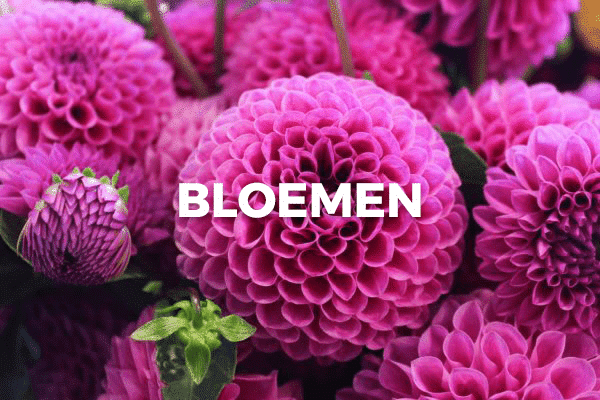 als je kunt Verduisteren loterij Bloemen image button - Bloomer