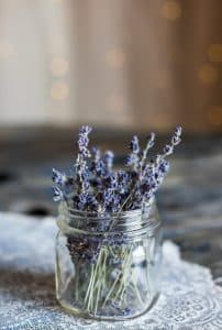 Droogbloemen kopen