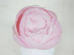 Bloemengroothandel Parfum Flower Company