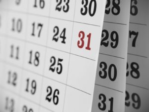 Kalender 2019 Bloomer