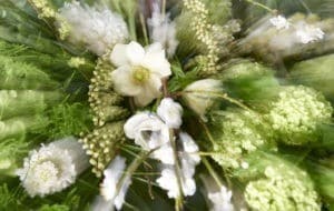 Bloemengroothandel