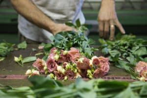 Bloomer Online Bloemengroothandel
