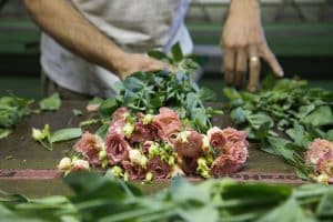 Bloomer Online Bloemengroothandel
