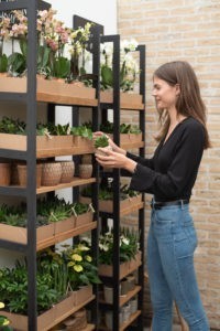 OK Plant Litlle Kolibri stelling