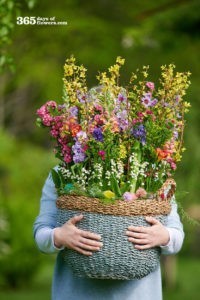 Jouw online bloemen groothandel