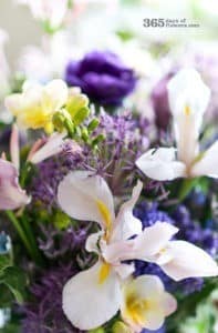 Jouw online bloemen groothandel