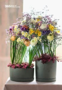 Jouw online bloemen groothandel