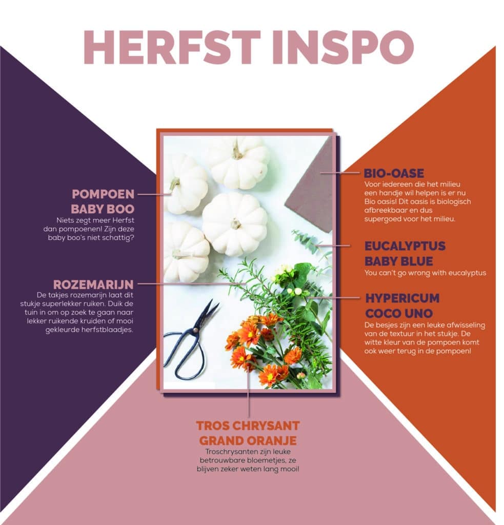 Herfst info afbeelding