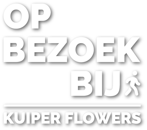 Op bezoek bij kuiper flowers