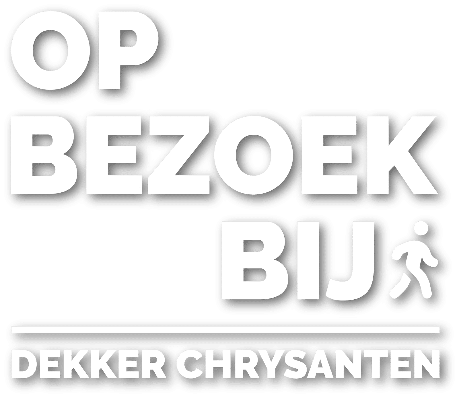 Op bezoek bij Dekker Chrysanten