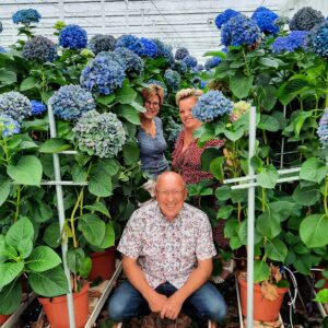Hortensia deelnemers