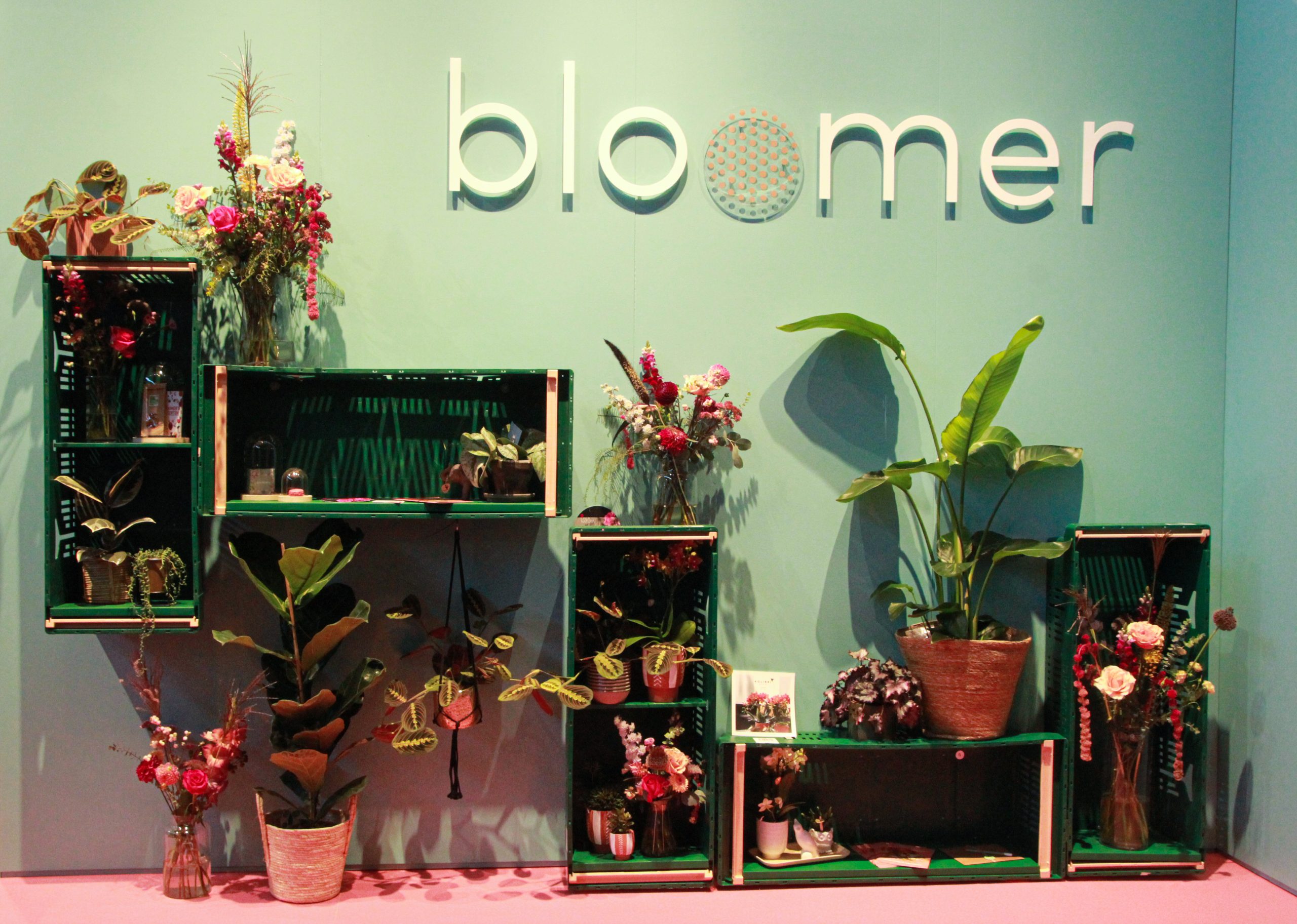 BloomerBox1