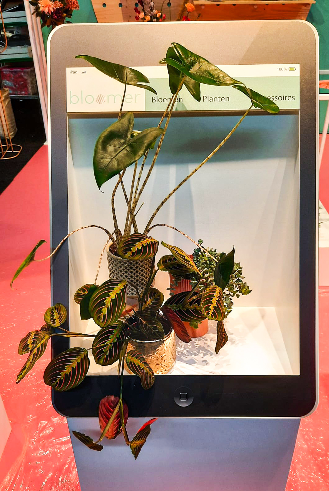 Tablets3