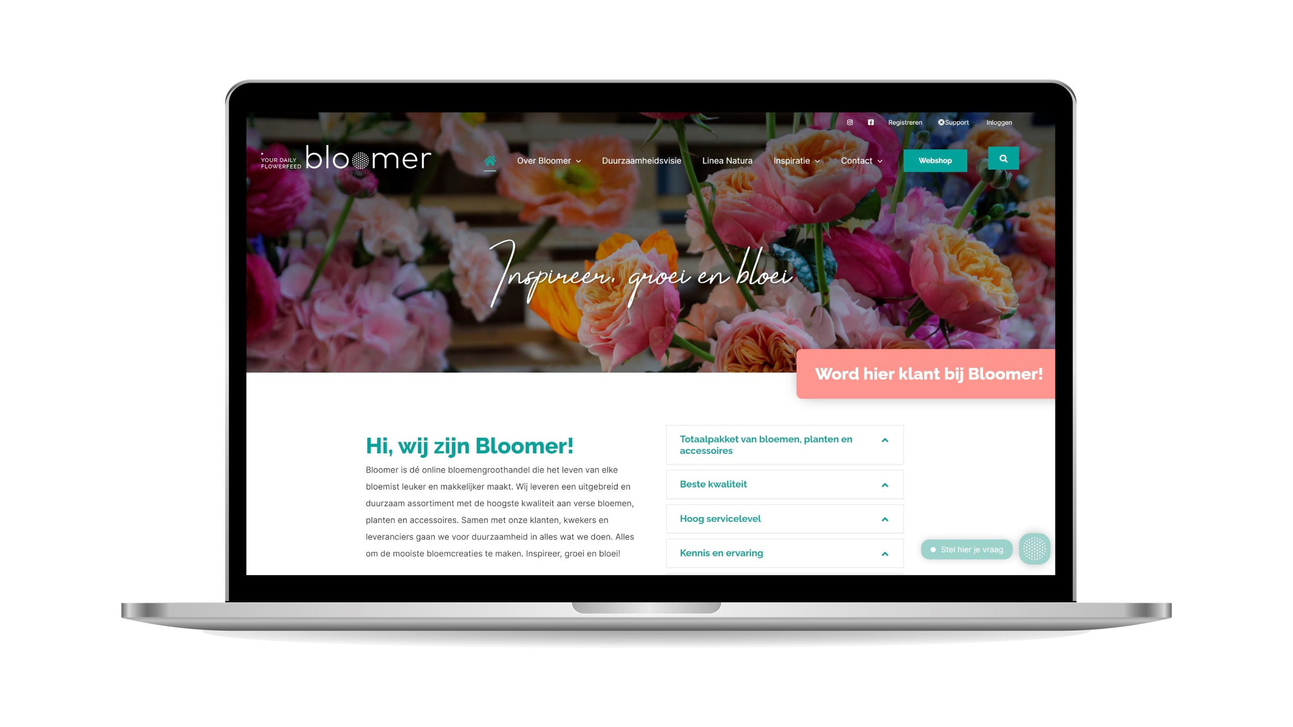 Vector website