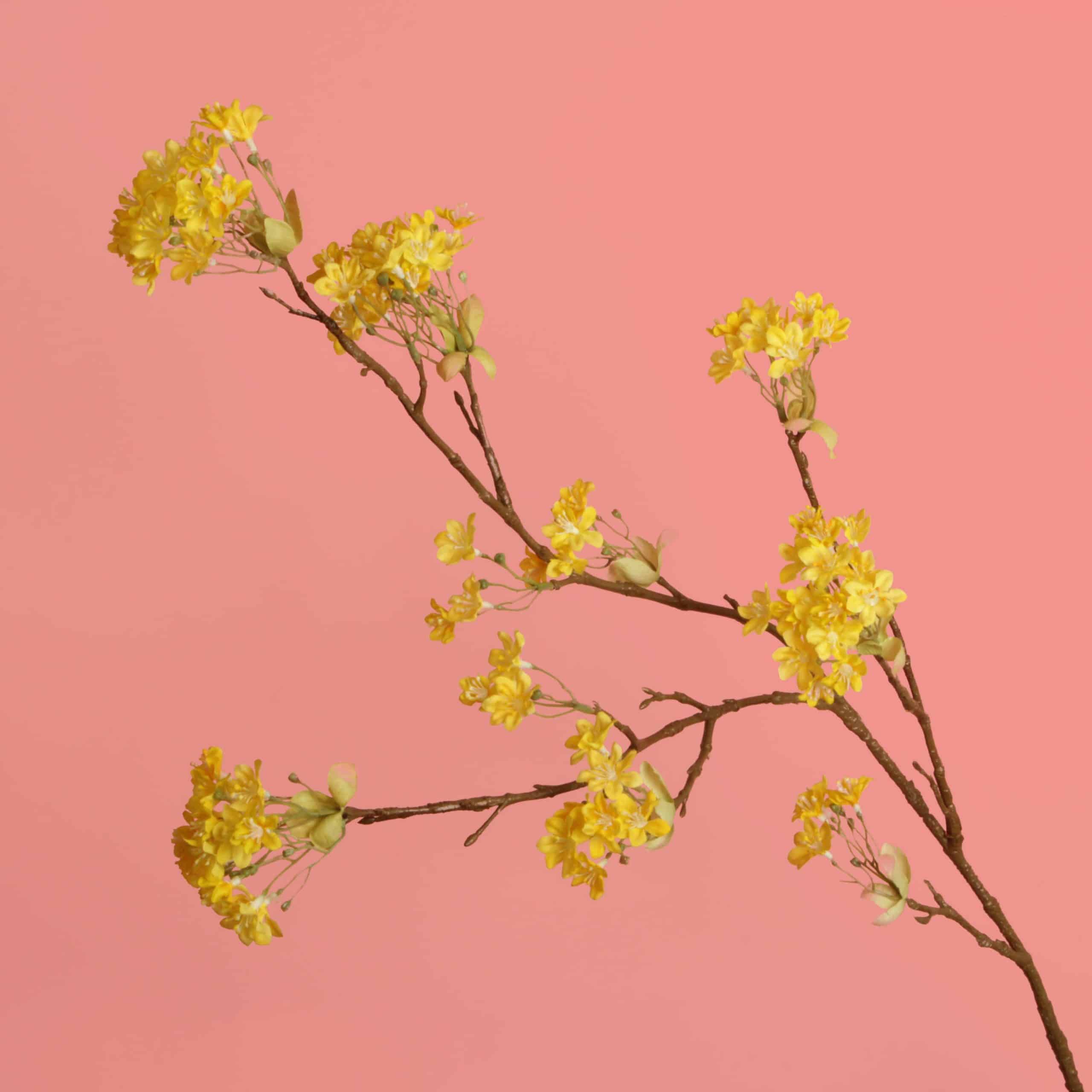Zijde bloem: Prunus Blossom Yellow