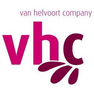 Van Helvoort Chrysanten
