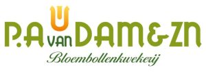 P.A. van Dam