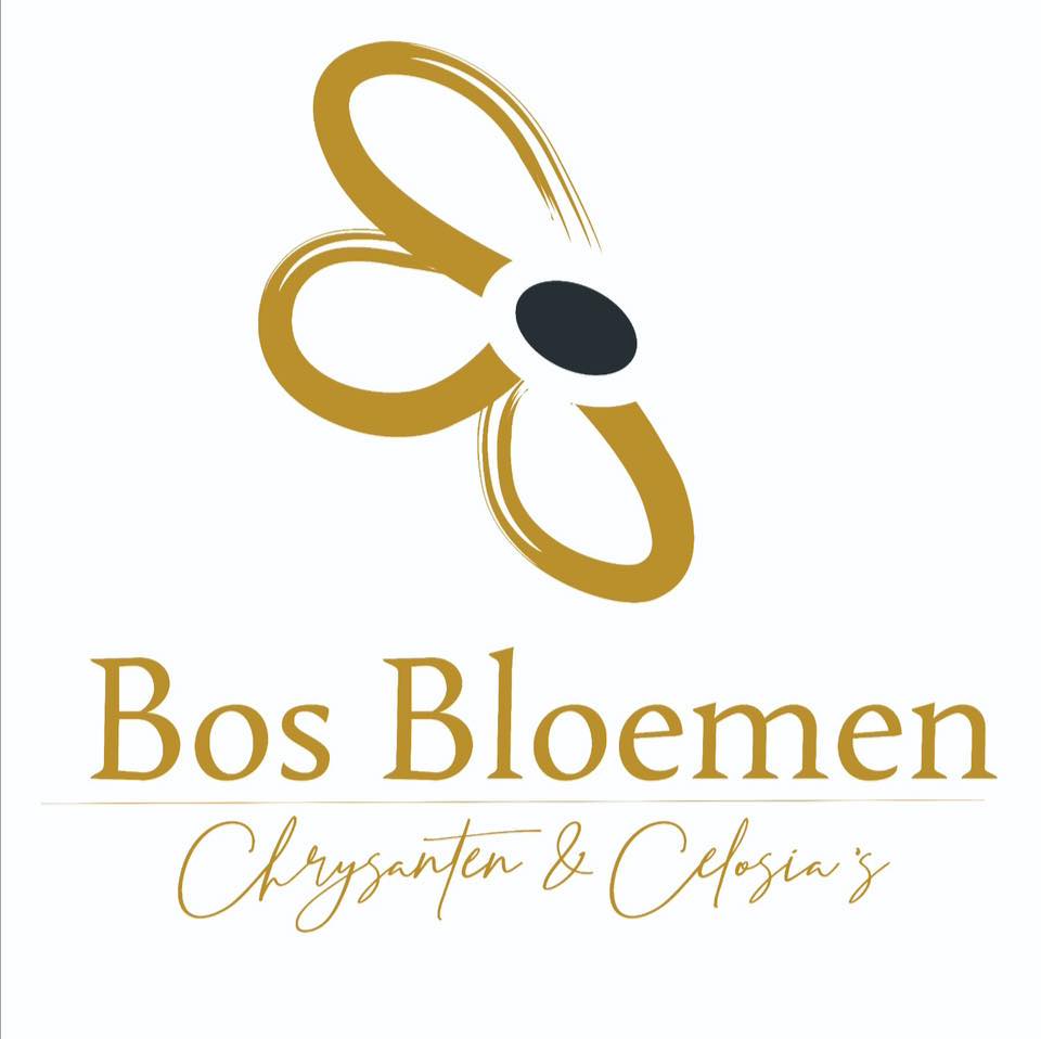 Bos Celosia